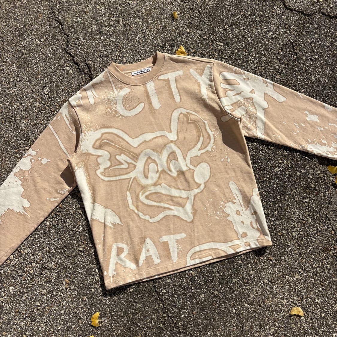 아크네 스튜디오 City Rat 패턴 스웻셔츠 상품이미지4