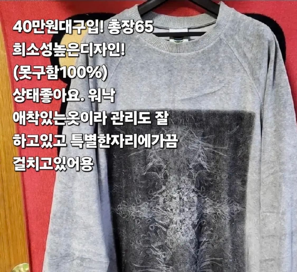 정품 한정 휴먼포텐셜 희긔 맨투맨 m 남여공용 상품이미지6