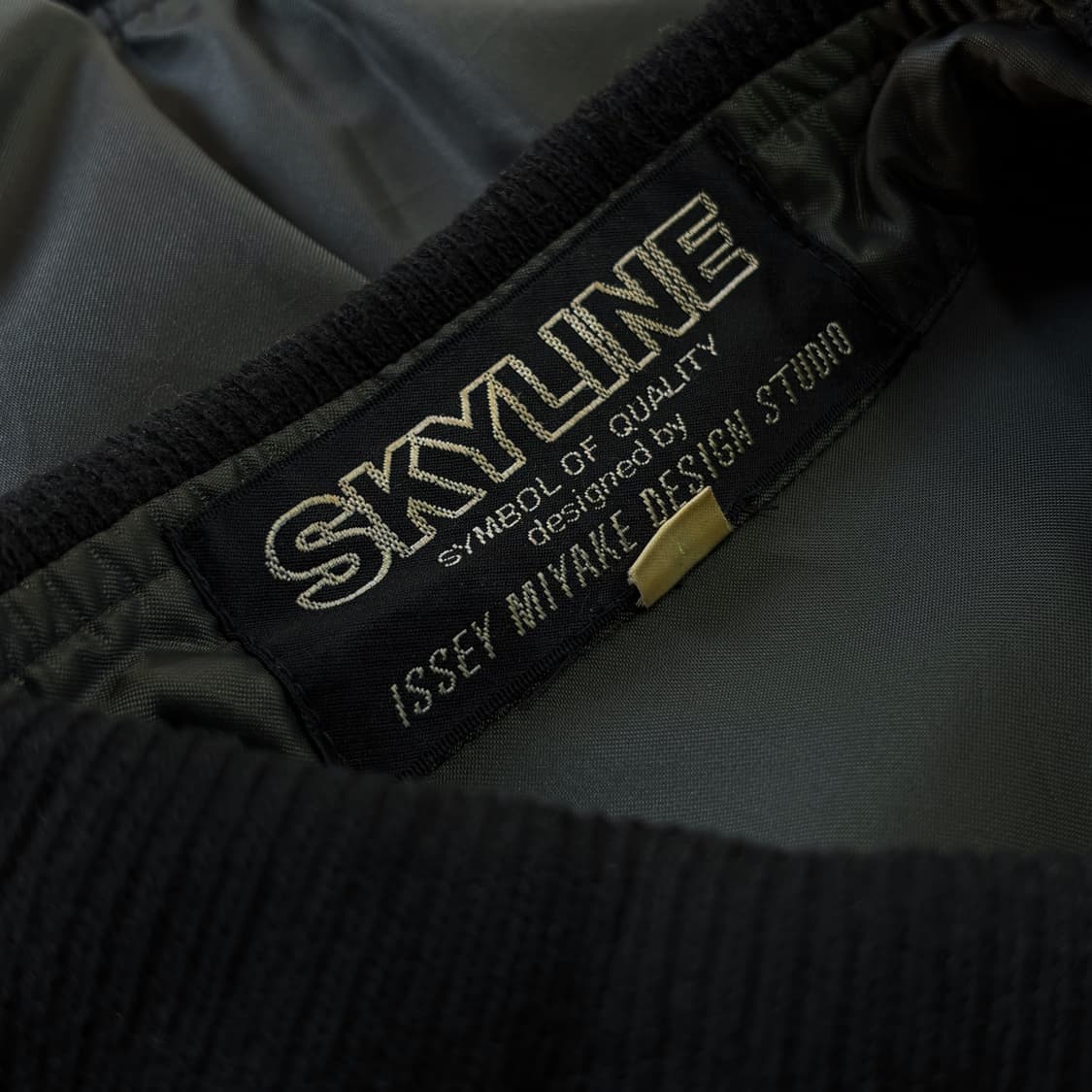 Skyline by Issey Miyake Jacket 상품이미지3