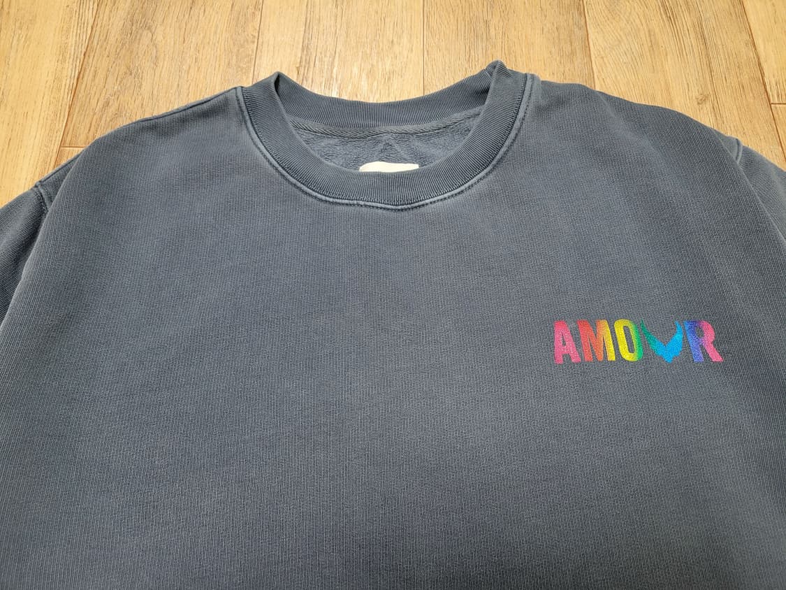 쟈딕앤볼테르(Zadig&Voltaire) 심바 아모르 윙 스웻셔츠 66- 상품이미지4