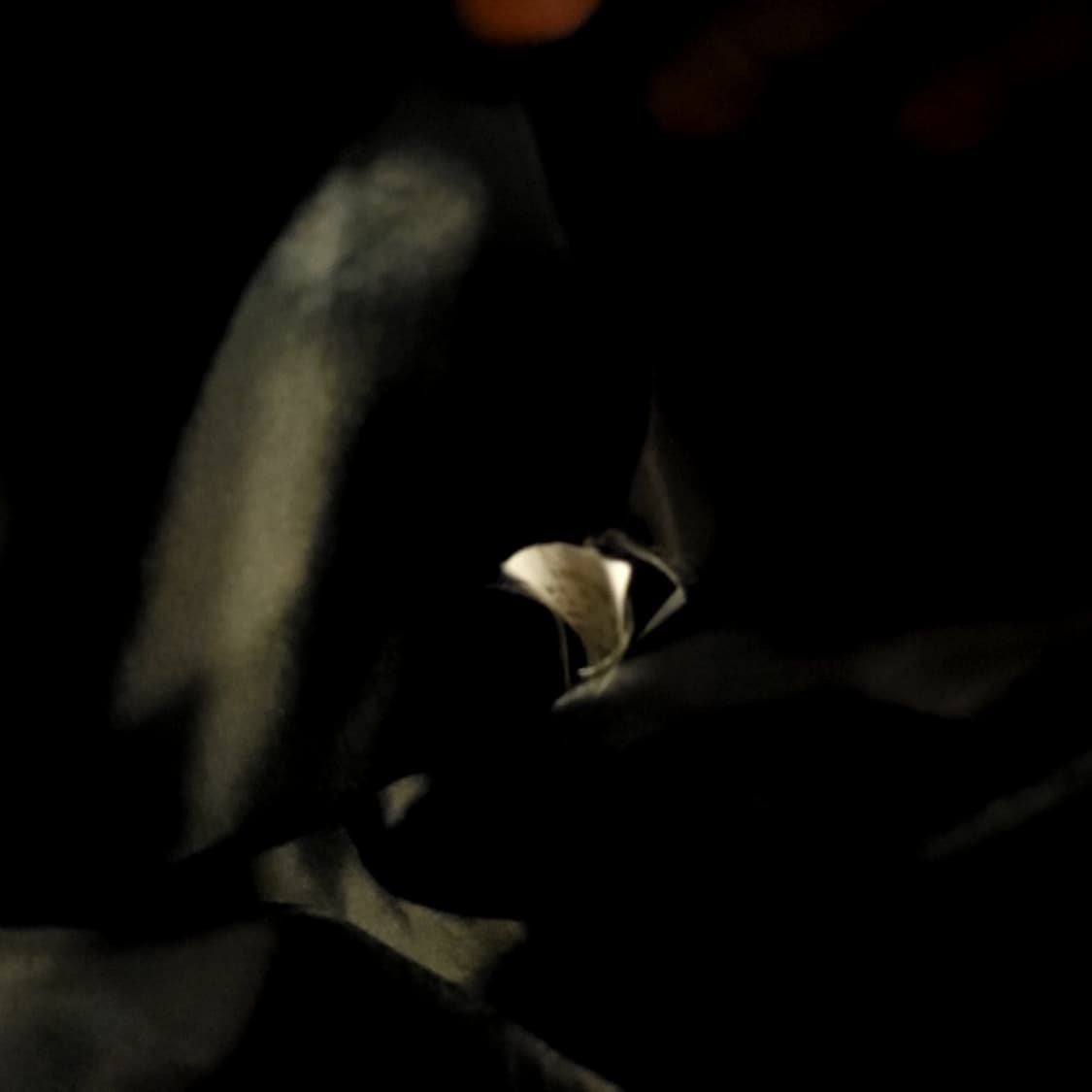 시슬리 퍼 트리밍 블랙 롱 패딩 상품이미지4