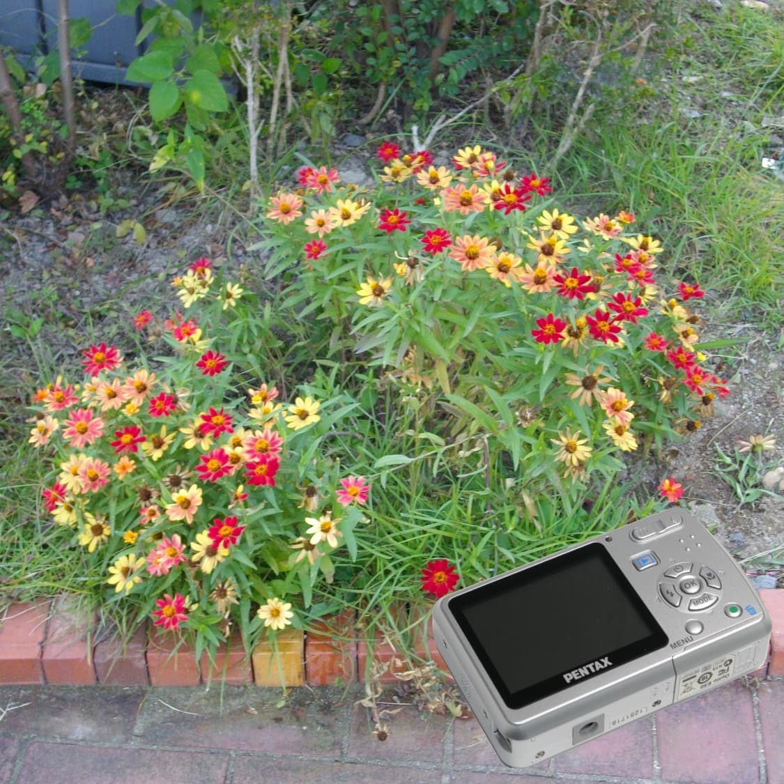 Optio e50(✨민트급/🎁풀패키지) 상품이미지5