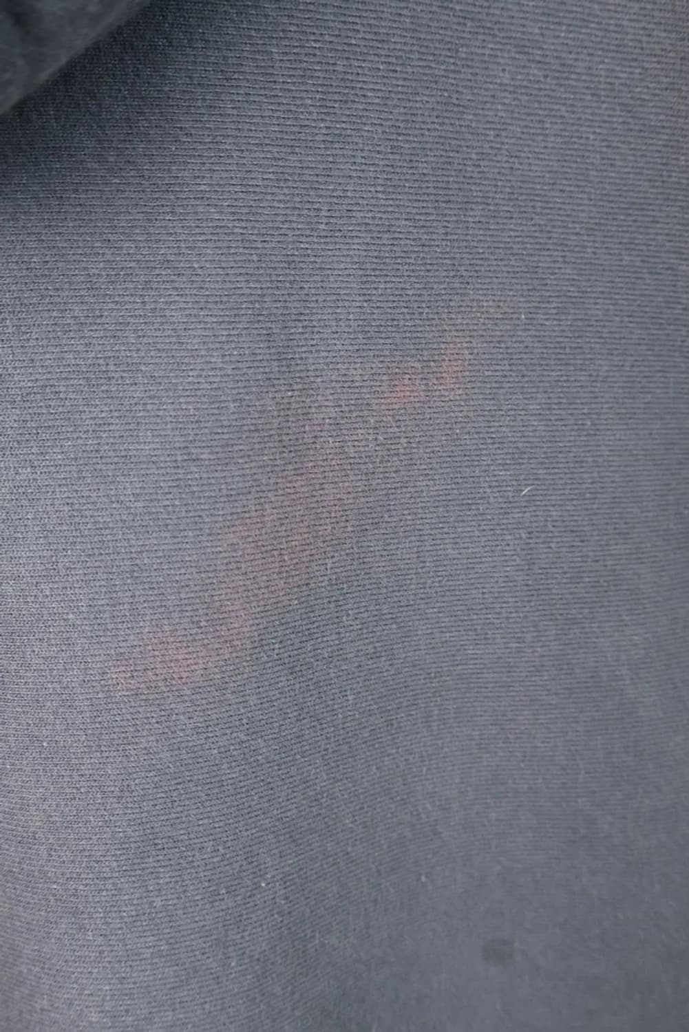 Champion Reverse Weave Short Hoodie 상품이미지7