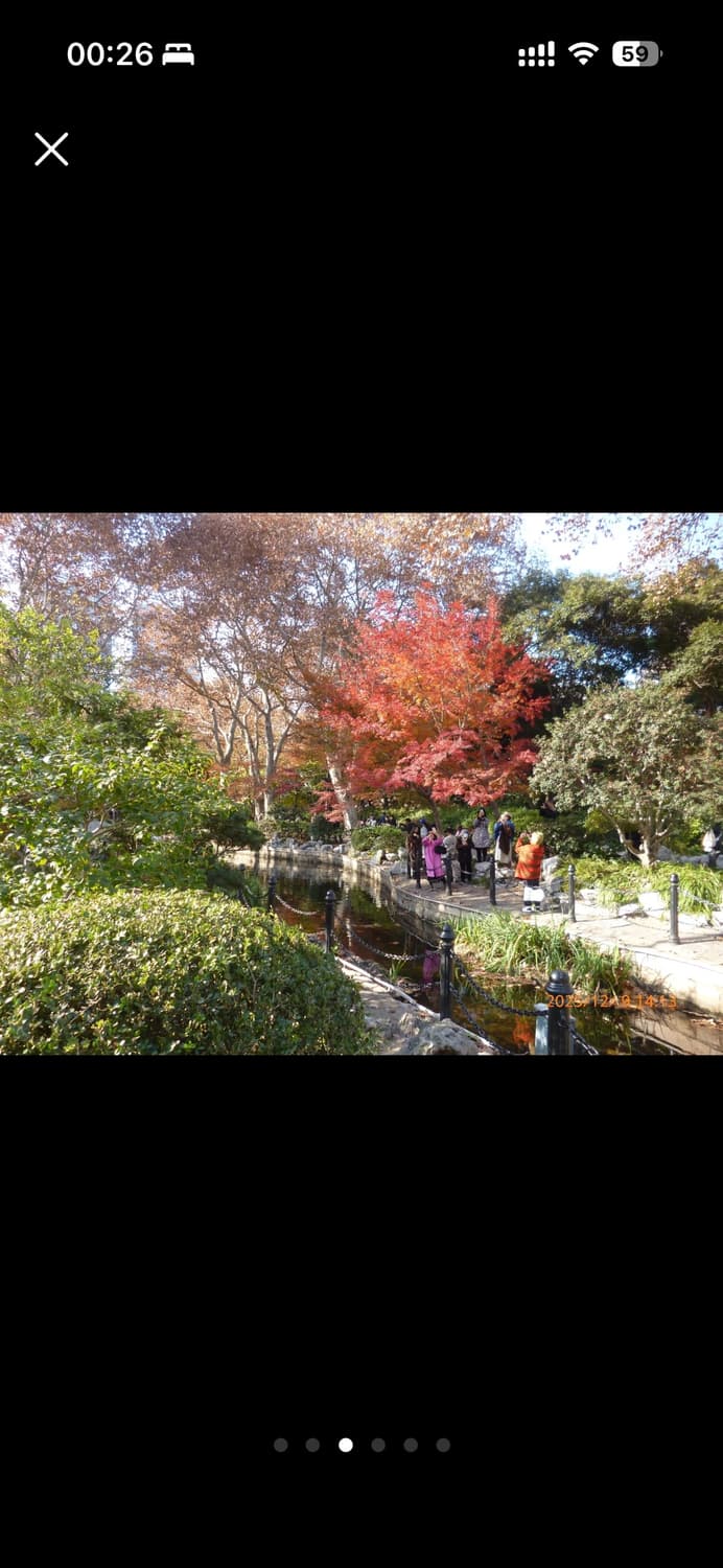 민트급❤️ 파나소닉 루믹스 DMC-S2 핑크 풀박스(작례有) 상품이미지7