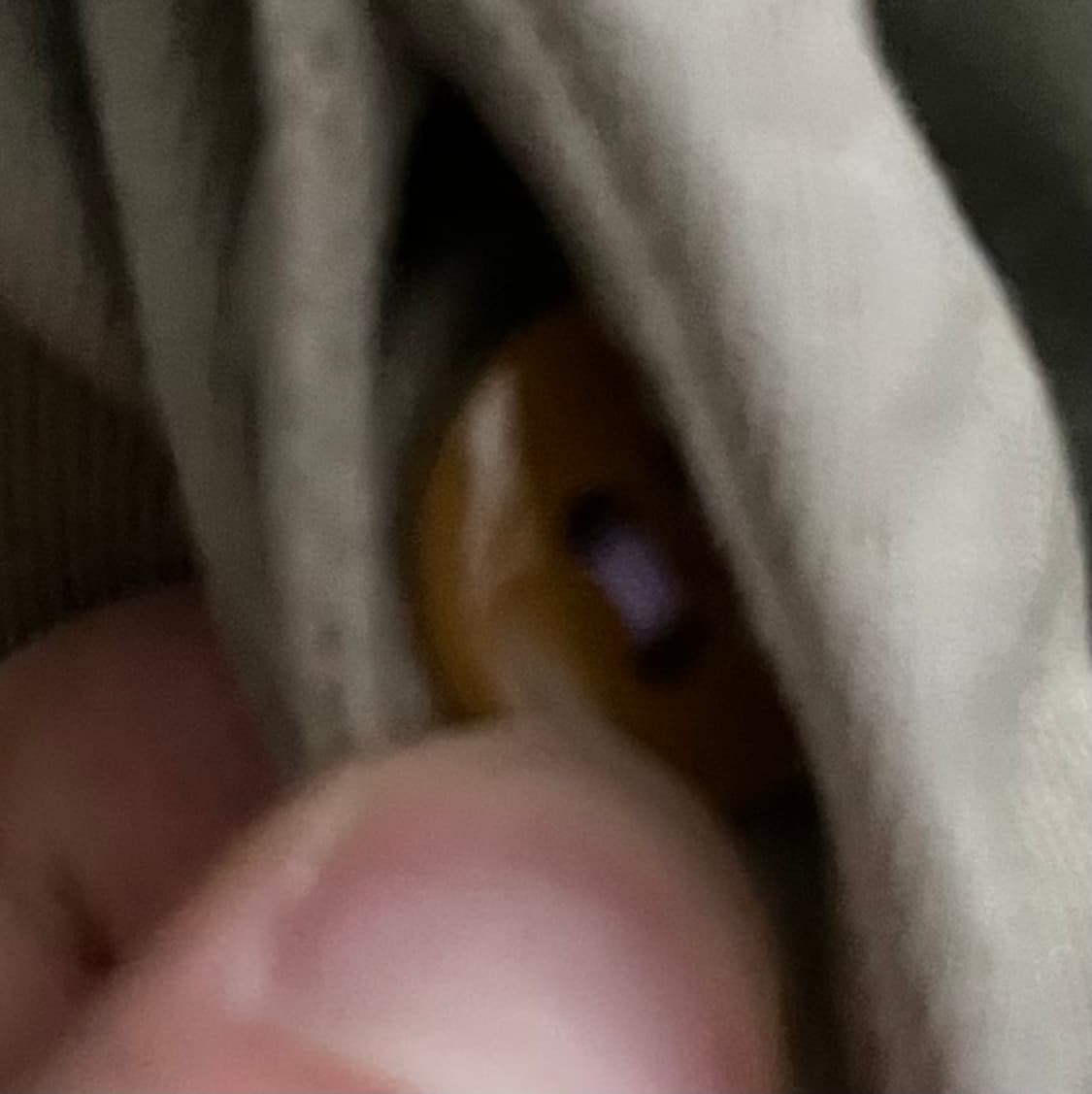 시오타 치노 4사이즈 상품이미지5