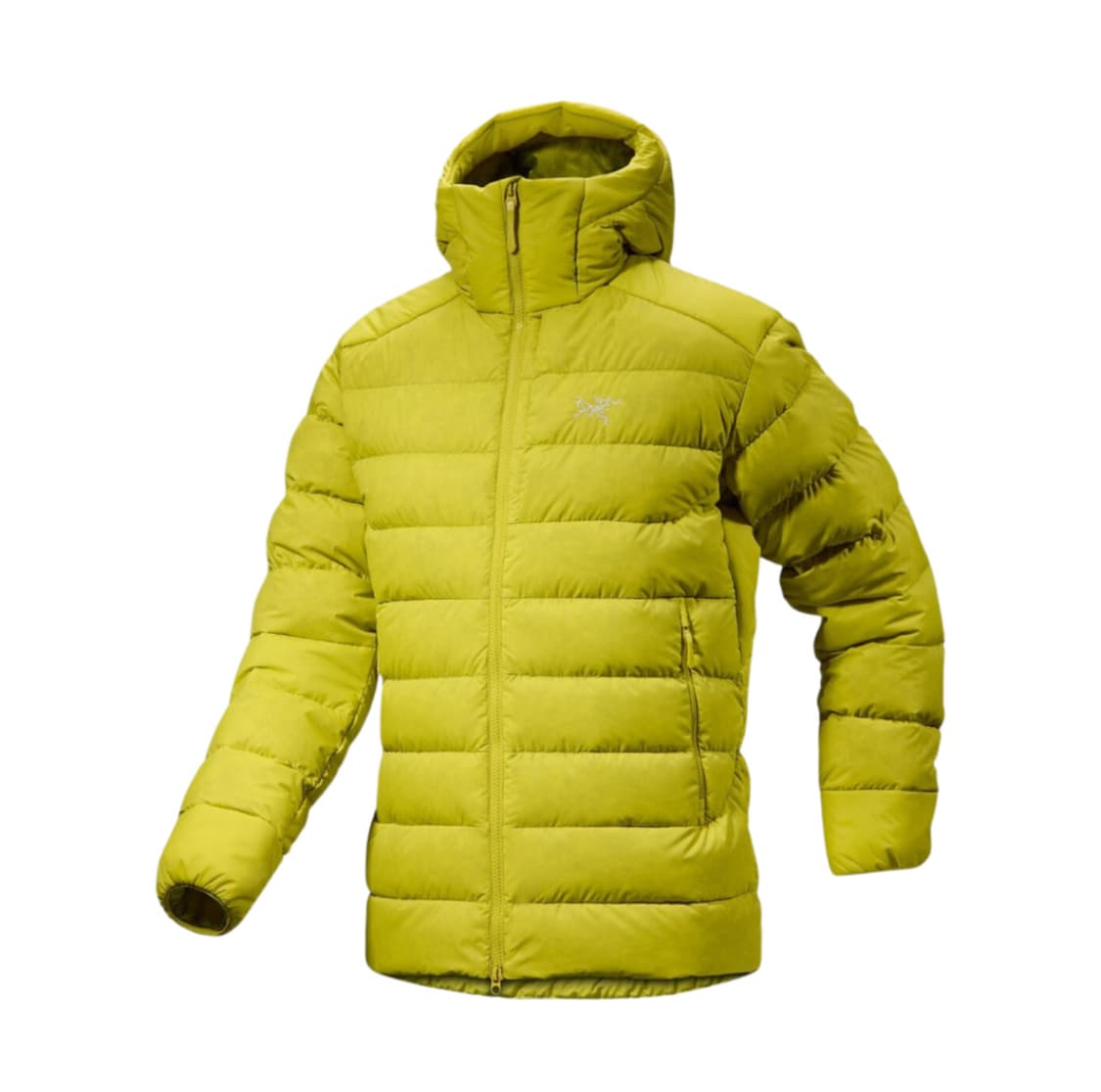 (XL) 아크테릭스 토륨 후디 램파이어 상품이미지1