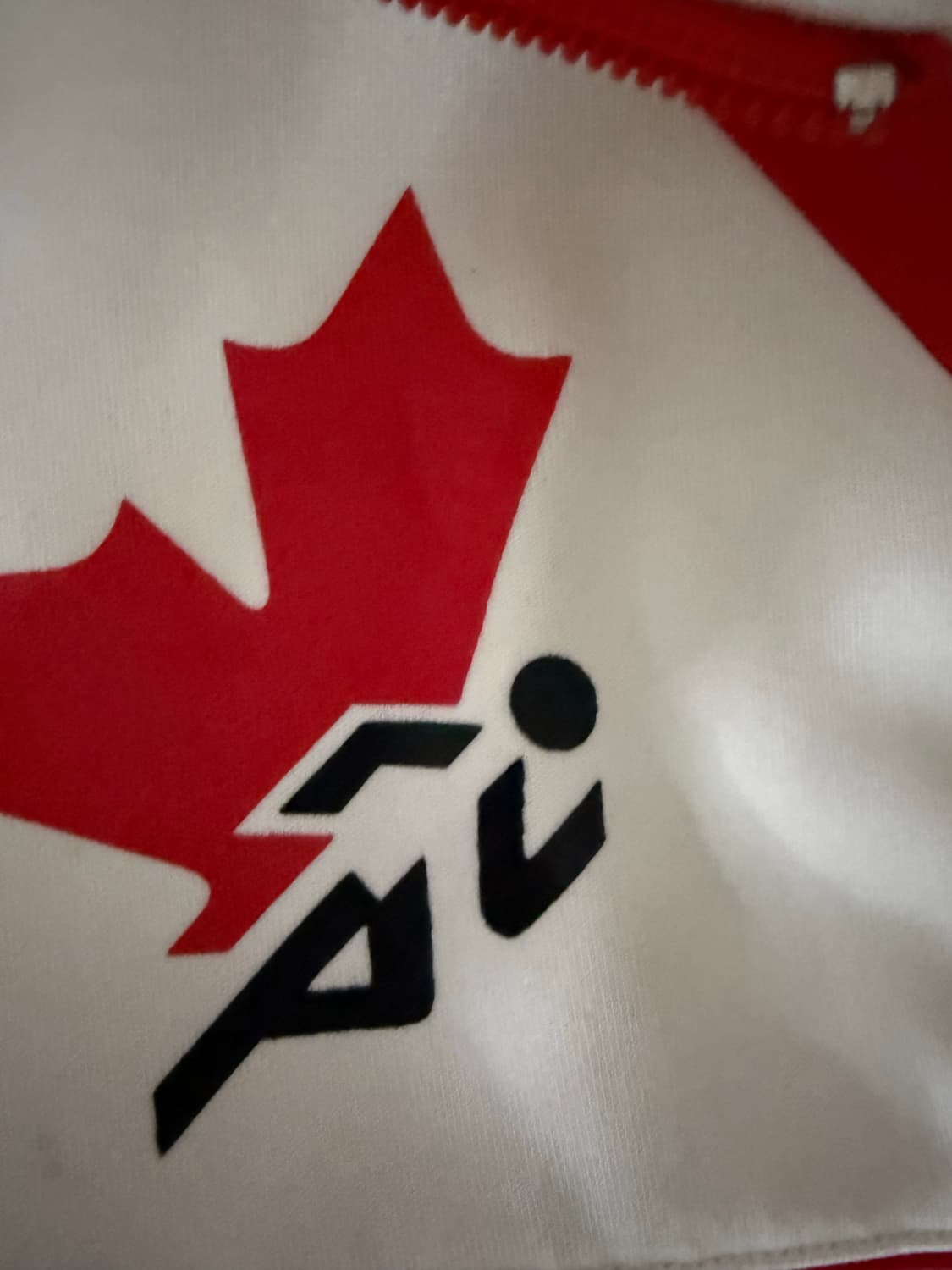 아디다스 캐나다 져지 상품이미지2