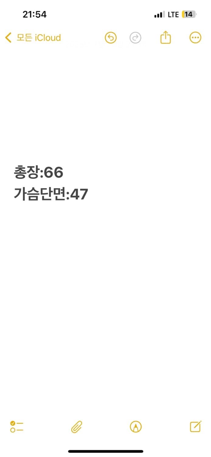 폴로 랄프 로렌 빅포니 흰색 화이트 카라 반팔티셔츠 상품이미지6