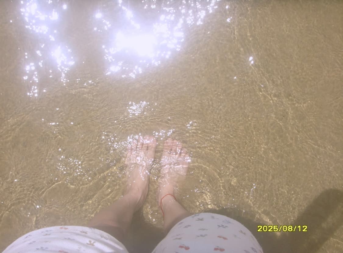 (슈나이더 렌즈) 삼성 VLUU NV20 🖤 상품이미지5