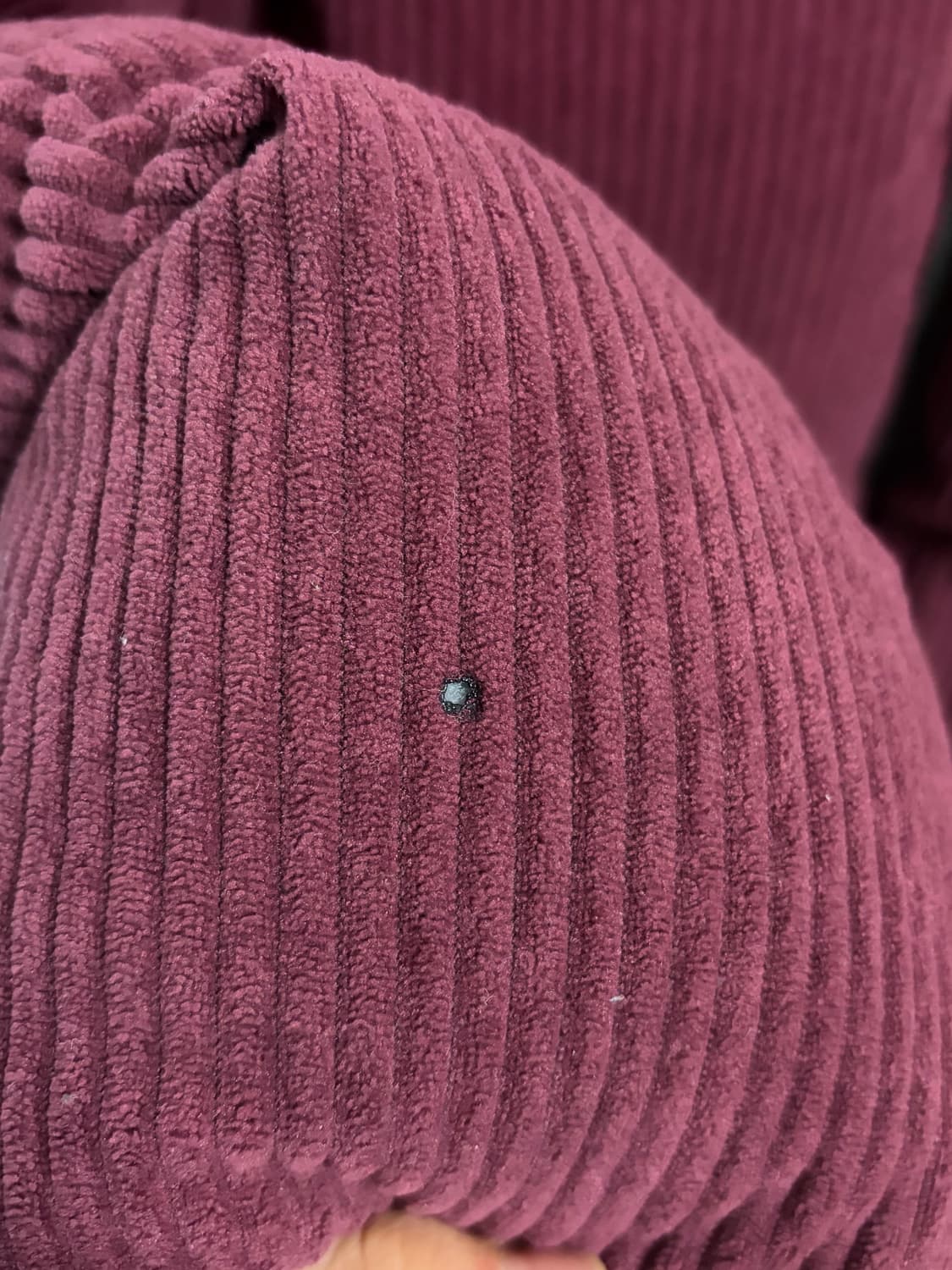 Lee 코튼 버건디 숏패딩 상품이미지3