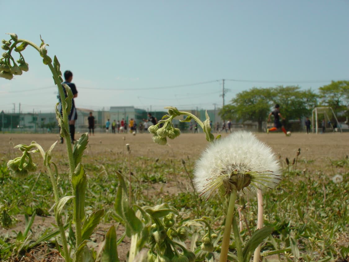작례O 슬기 디카 사이버샷 dsc f88 소니 빈티지 디지털카메라 상품이미지6
