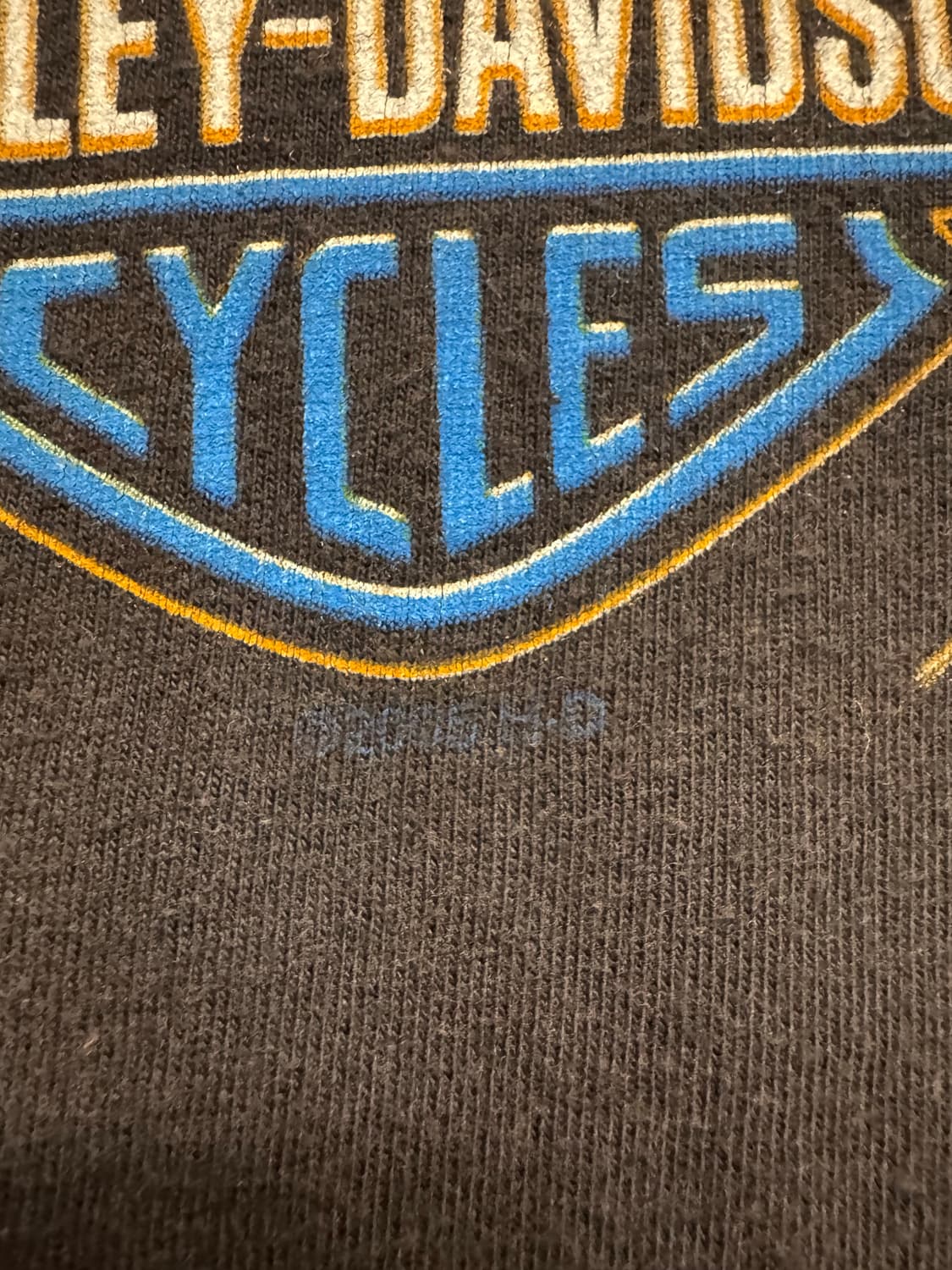 00s 할리데이비슨 블루플레임 호크 반팔티 상품이미지3