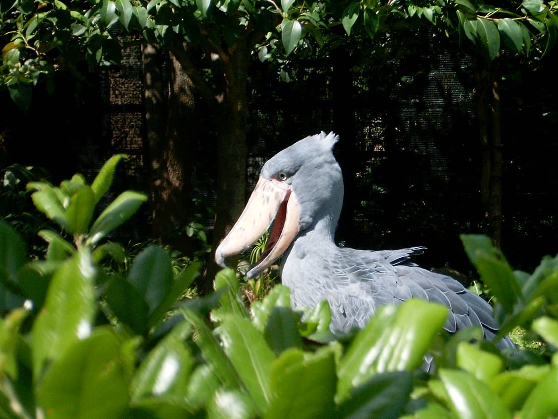 작례⭕️HP 포토스마트 635 상품이미지7