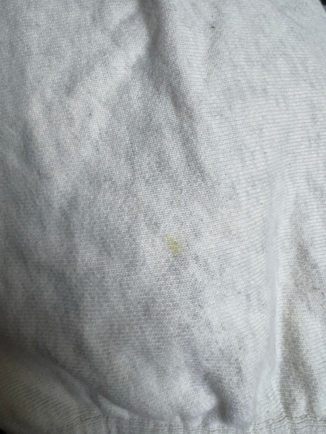 챔피온 리버스위브 프렌치 테리 스웻팬츠 오트밀 M 상품이미지8