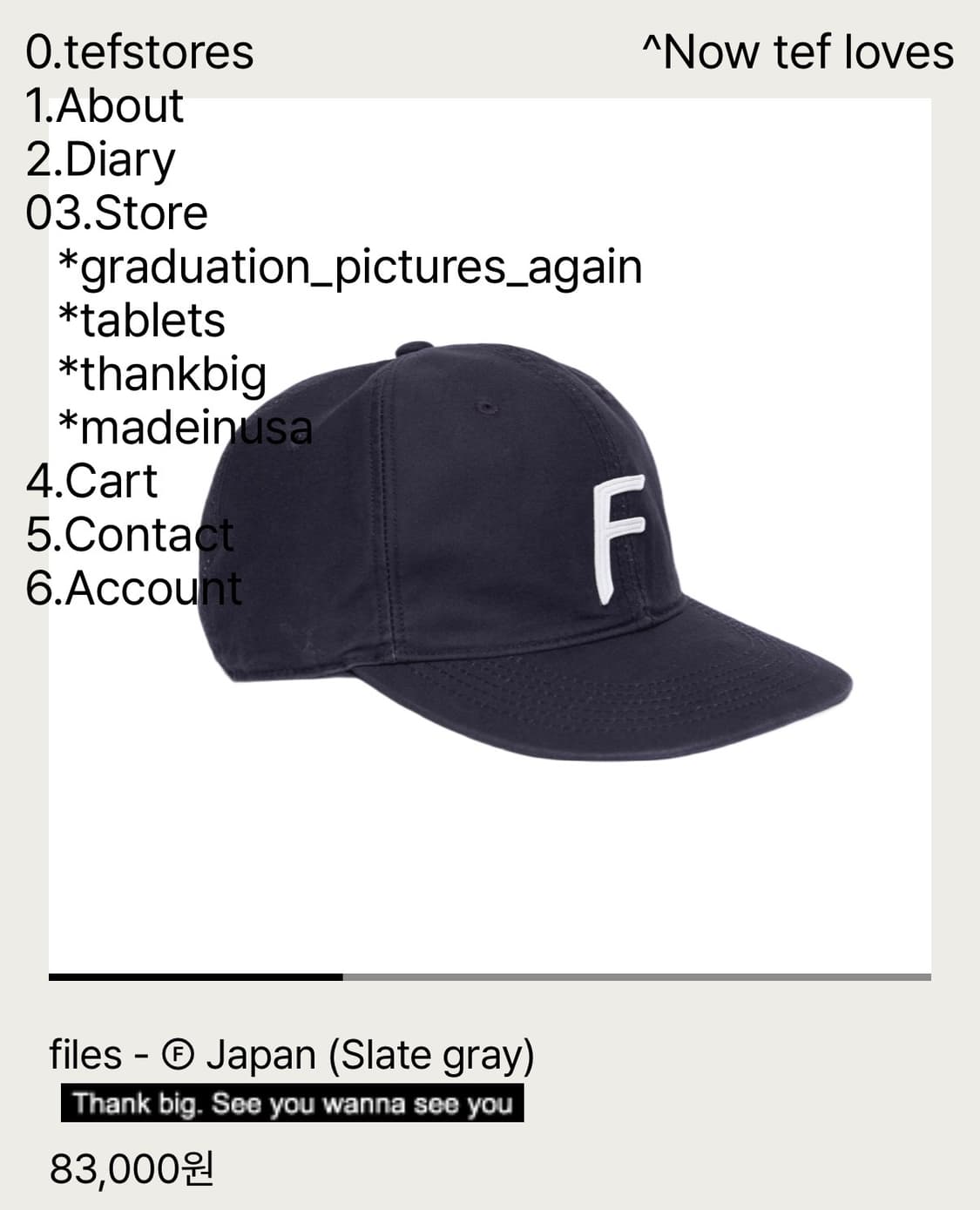 테프스토어즈 Flies F 슬레이트 그레이 M 상품이미지1