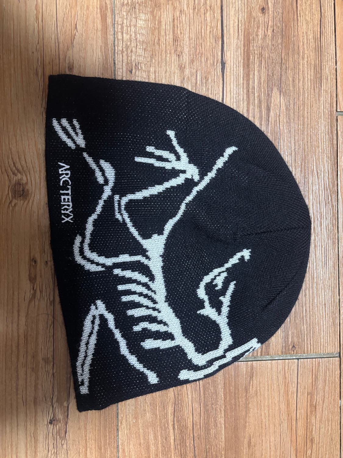 아크테릭스 비니 상품이미지2