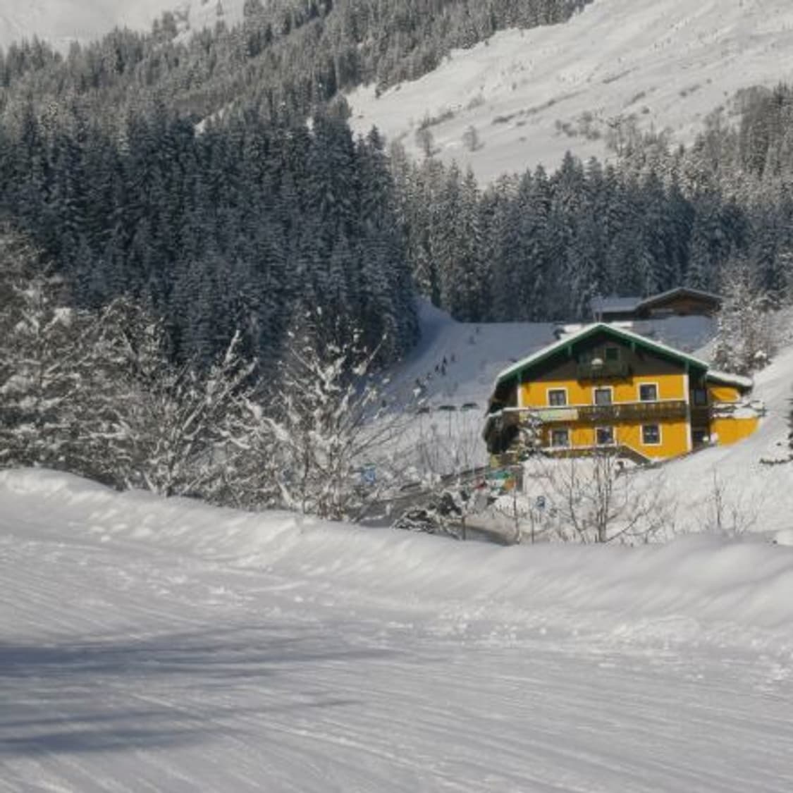 소프트 포커스✧･ﾟ올림푸스 Olympus VG-120 디카 카메라 상품이미지10