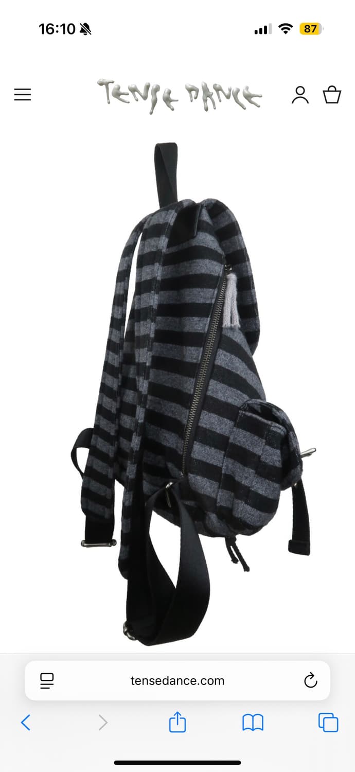 파히썸 구 텐스댄스 스트라이프백팩 상품이미지3