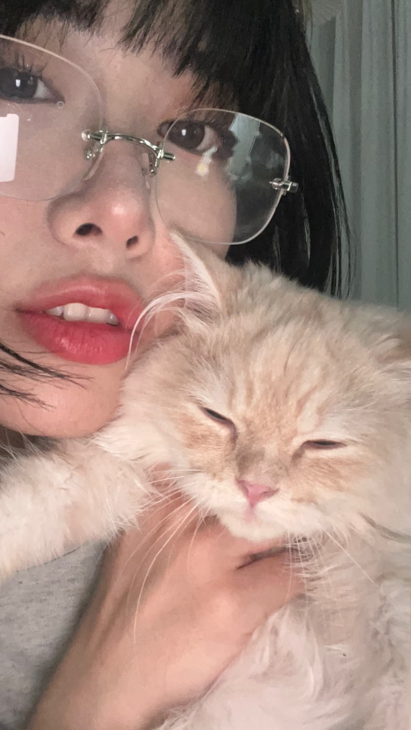 세라 리본 니트 상품이미지5