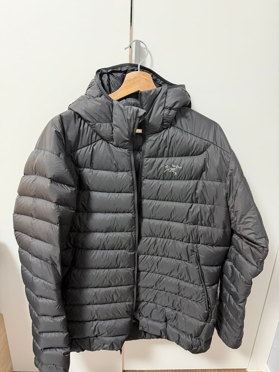 아크테릭스 세륨 블랙 라지 상품이미지2