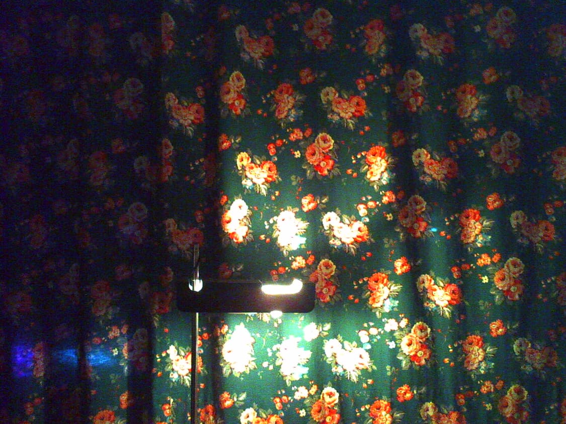 하리네즈미 빈티지 디카 (작례O) 상품이미지8