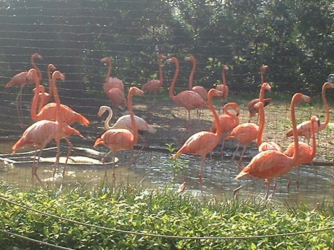 입문자용. 파인픽스 1500 상품이미지5