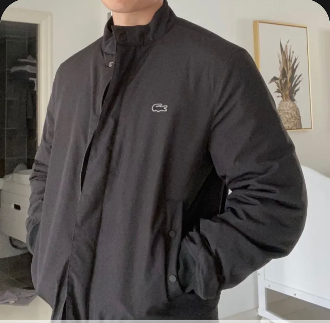 [105] 라코스테 항공점퍼 상품이미지1