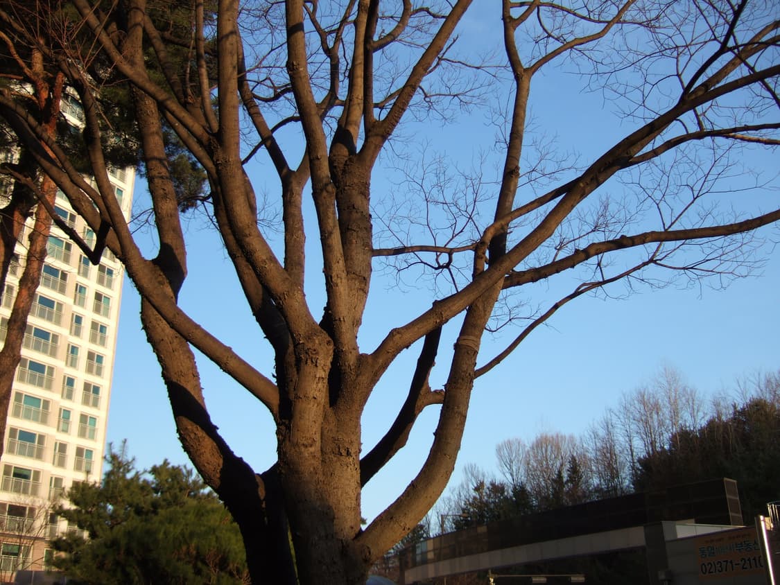 청량,필카느낌) Fujifilm FinePix F10 후지 파인픽스 디카 상품이미지6