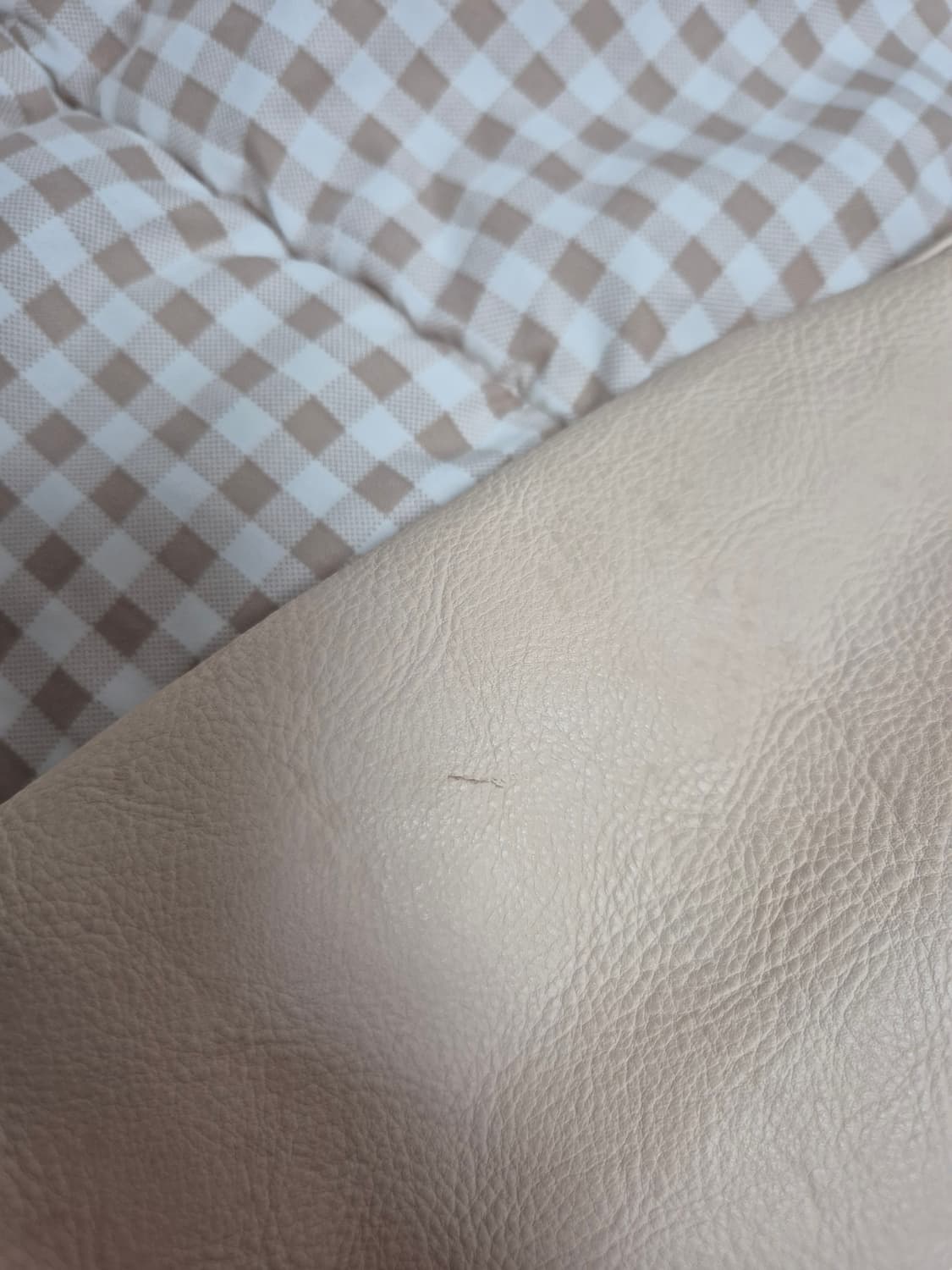 엑슬림 ep6 바시티 자켓 S (변우석착용) 상품이미지9