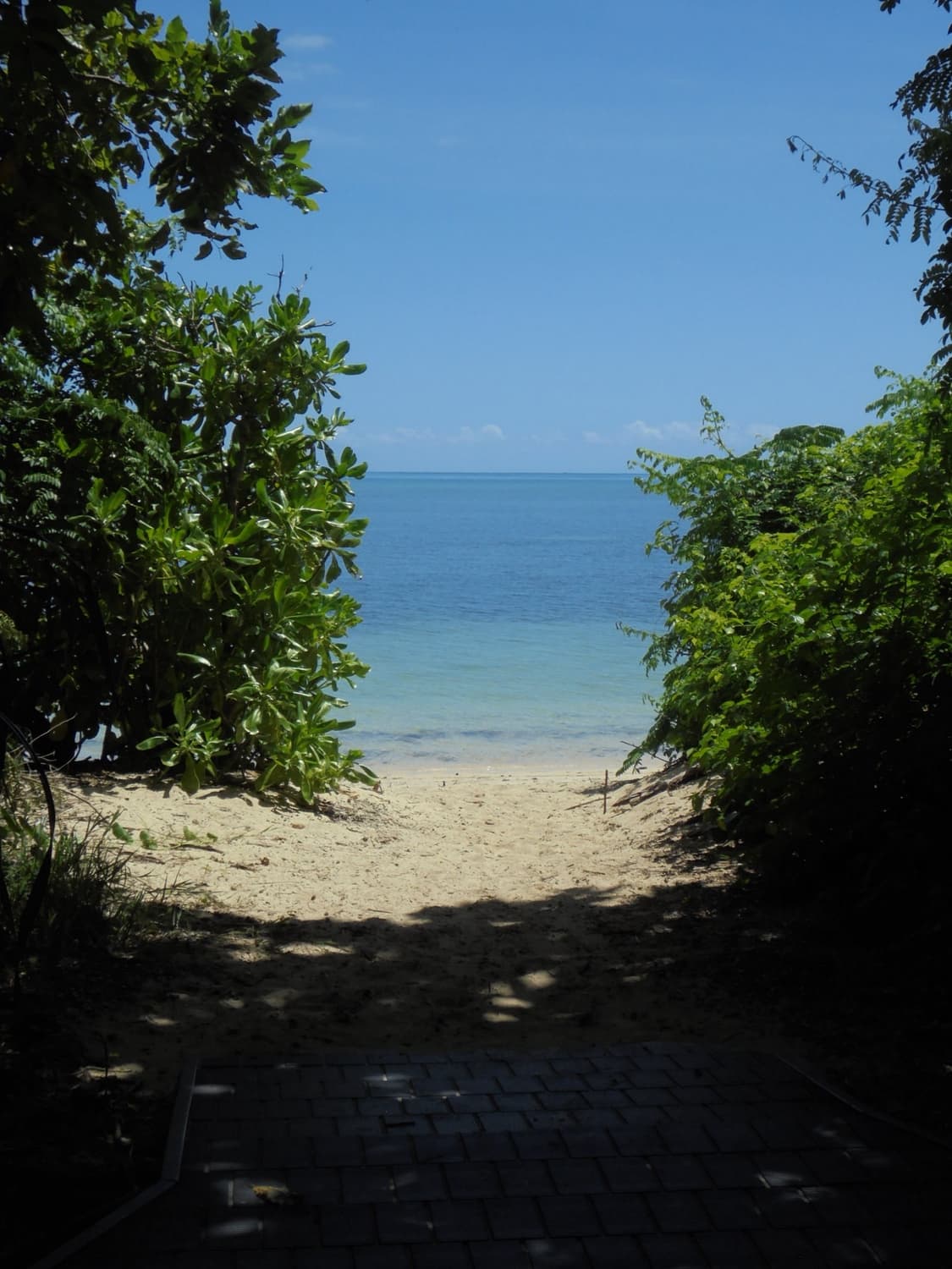 🍎 희귀) Nikon Coolpix 쿨픽스 S6100 작례 O 상품이미지5