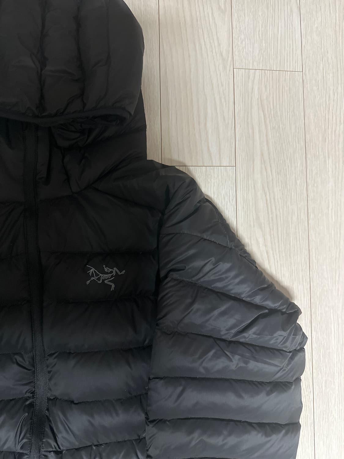 아크테릭스 세륨 구형(15년도) 상품이미지4