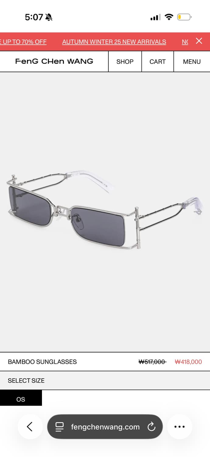 Feng Chen Wang 선글라스 상품이미지2