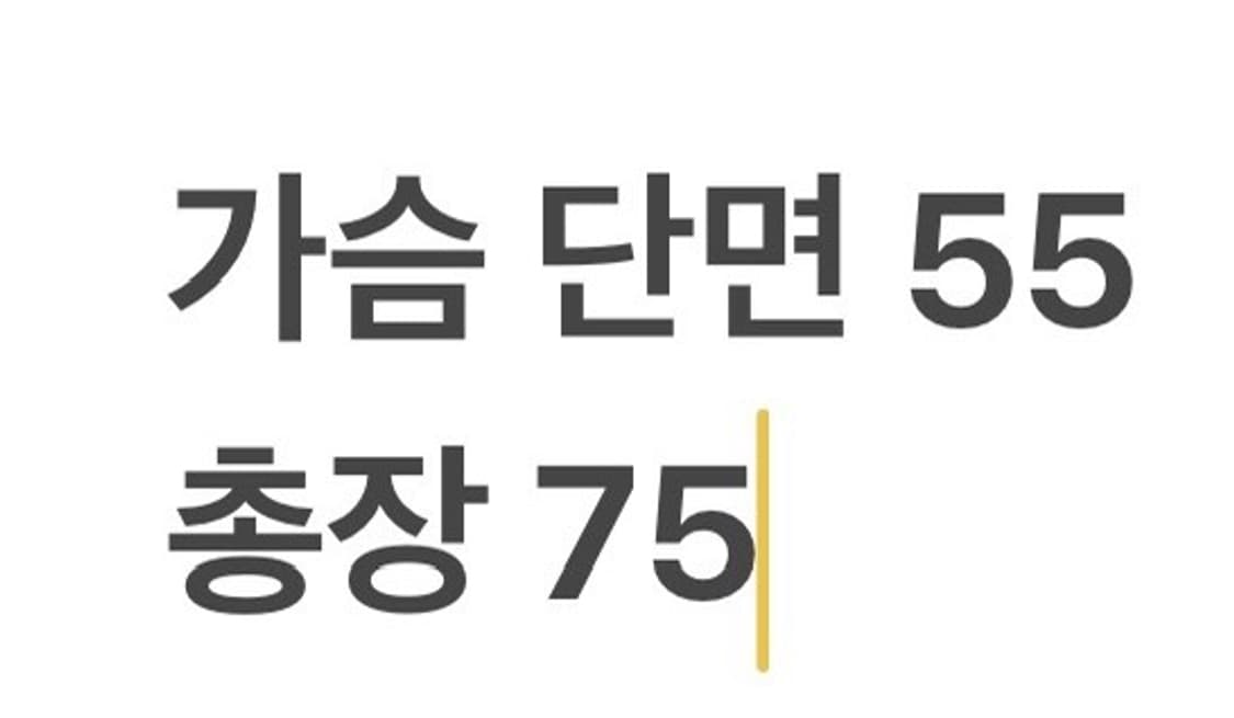 [정품/115] 돌체앤가바나 제임스딘 레이어드 시스루 롱슬리브  b19 상품이미지8