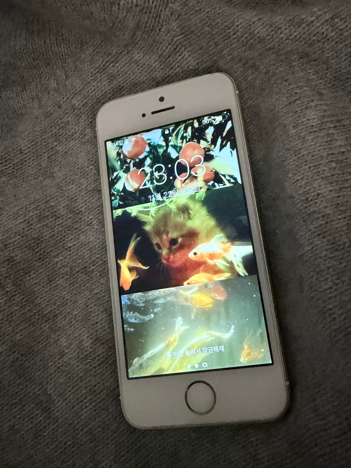 아이폰 5s 상품이미지2