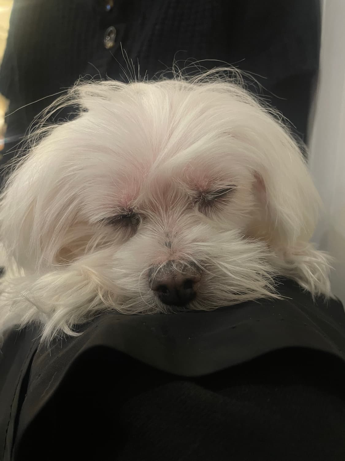 랑바이 상품이미지1