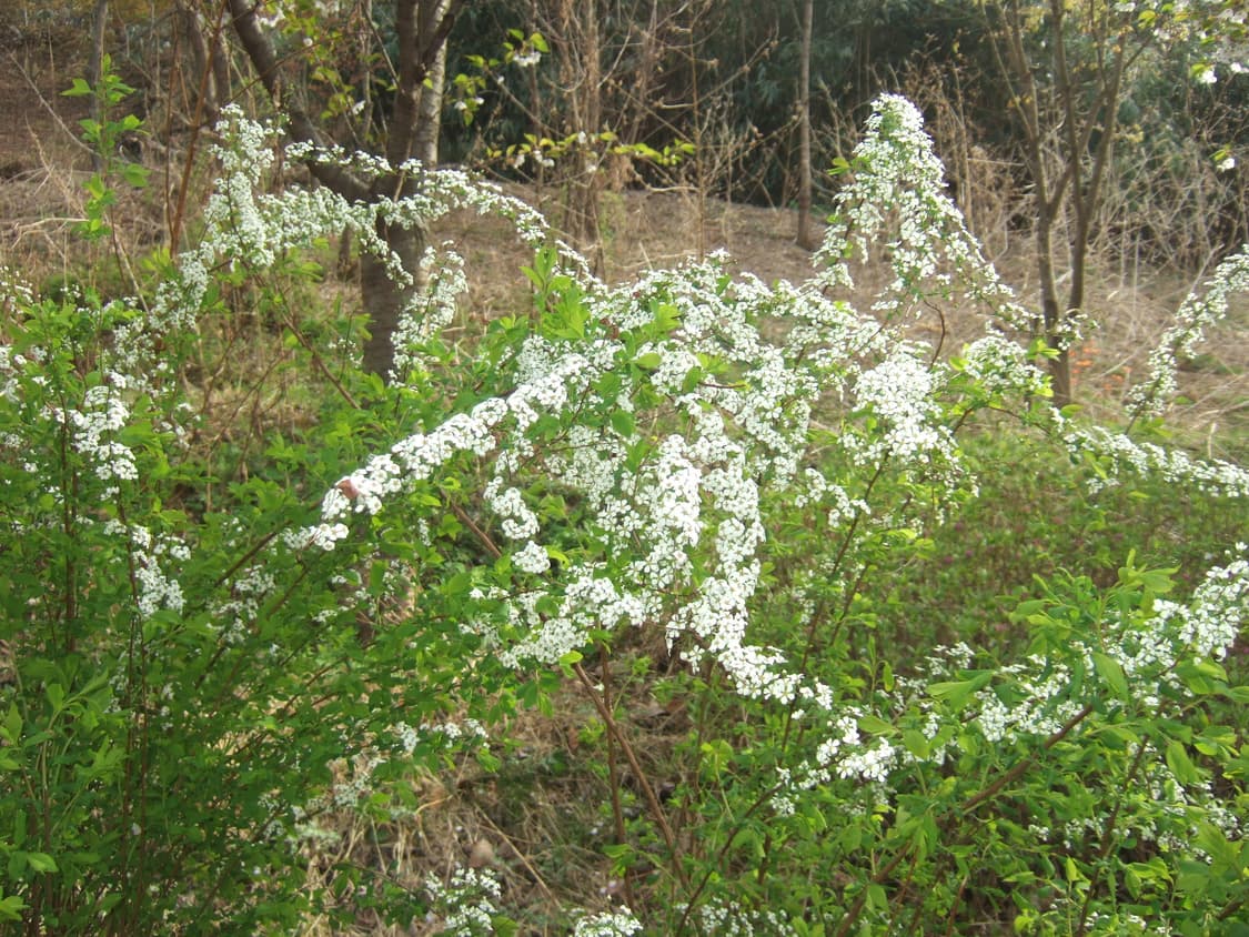 finepix 파인픽스 f10 상품이미지9