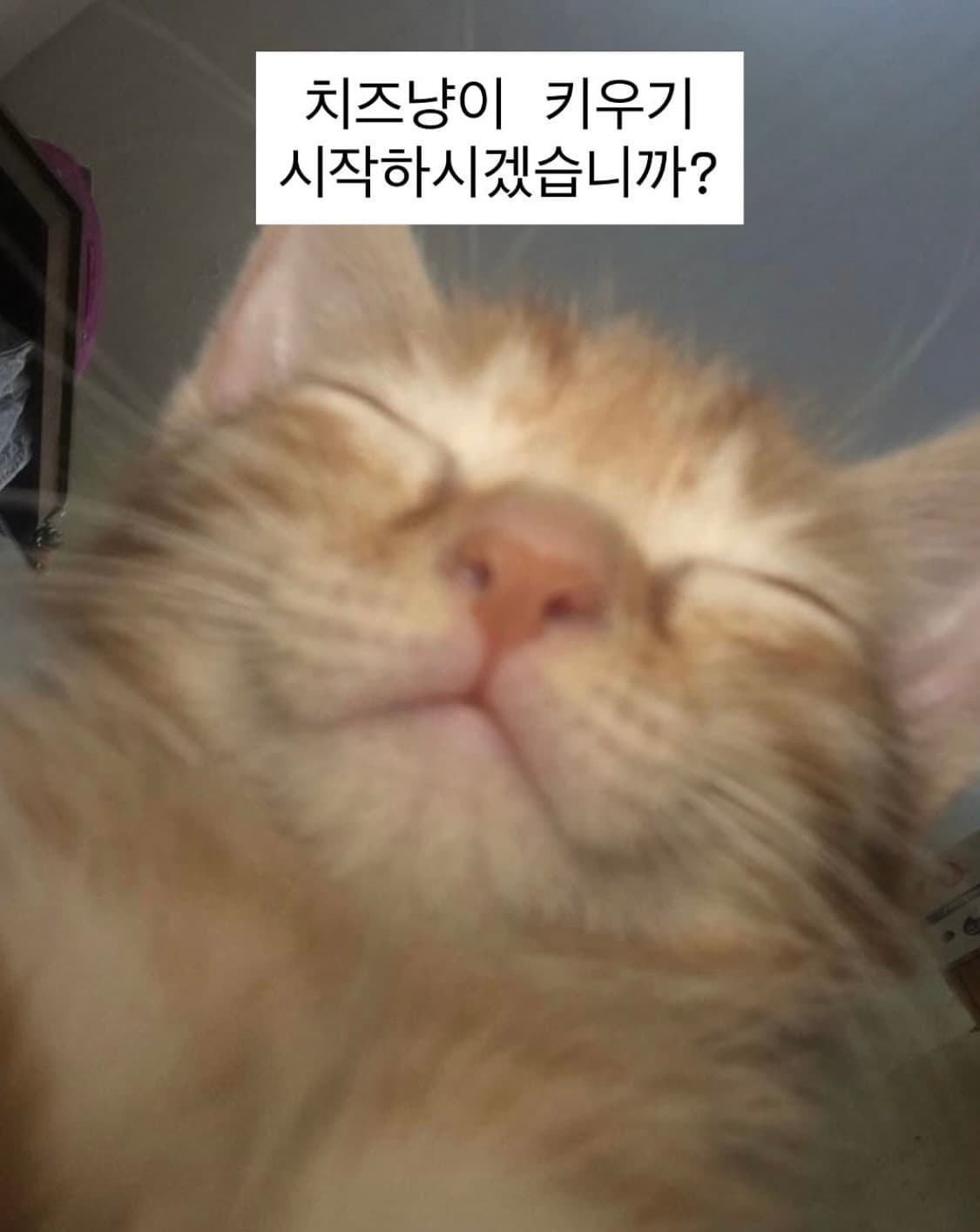 결제창 상품이미지1