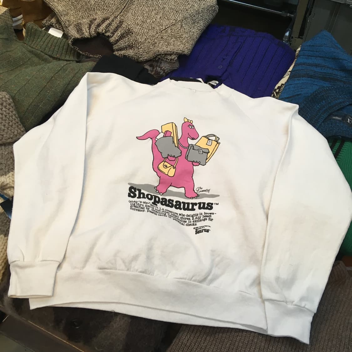 1986  미국 카툰 캐릭터  샵파사우루스 스웻셔츠L 사이즈 상품이미지1