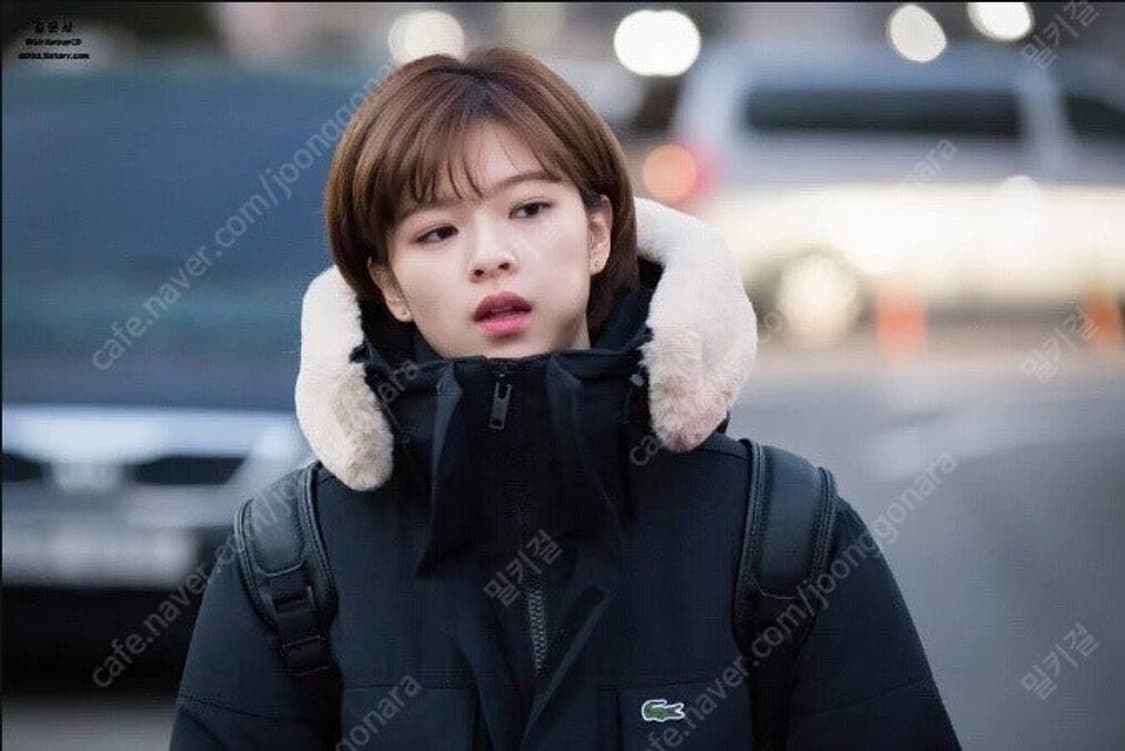 라코스테 패딩 55 상품이미지7
