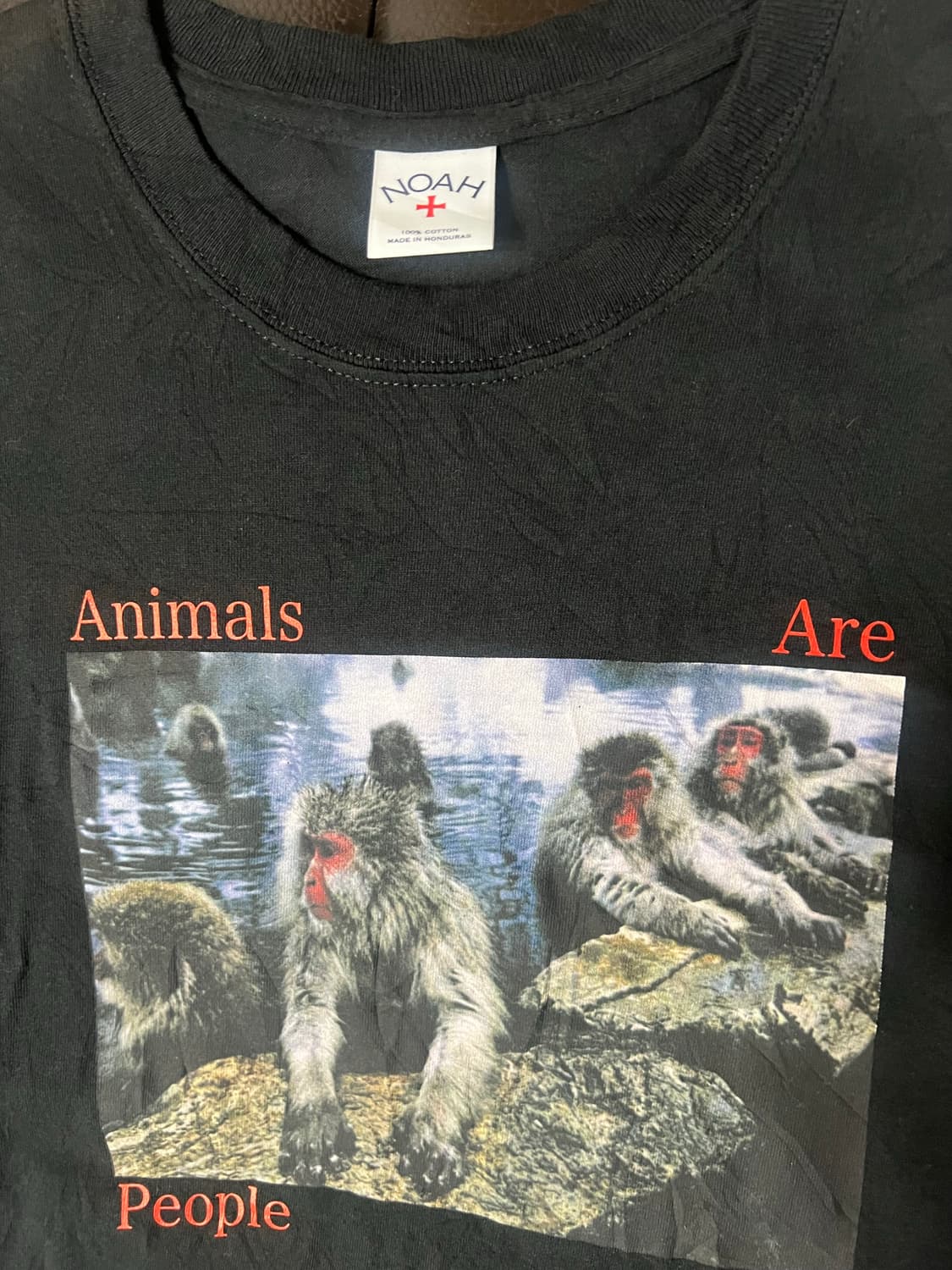 노아 애니멀프린팅 반팔 상품이미지2