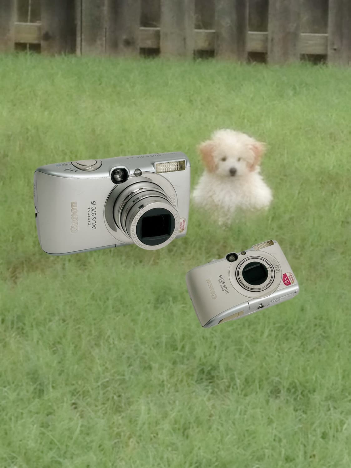 레어!) 캐논 익서스 970 익시820 빈티지 디카 상품이미지1