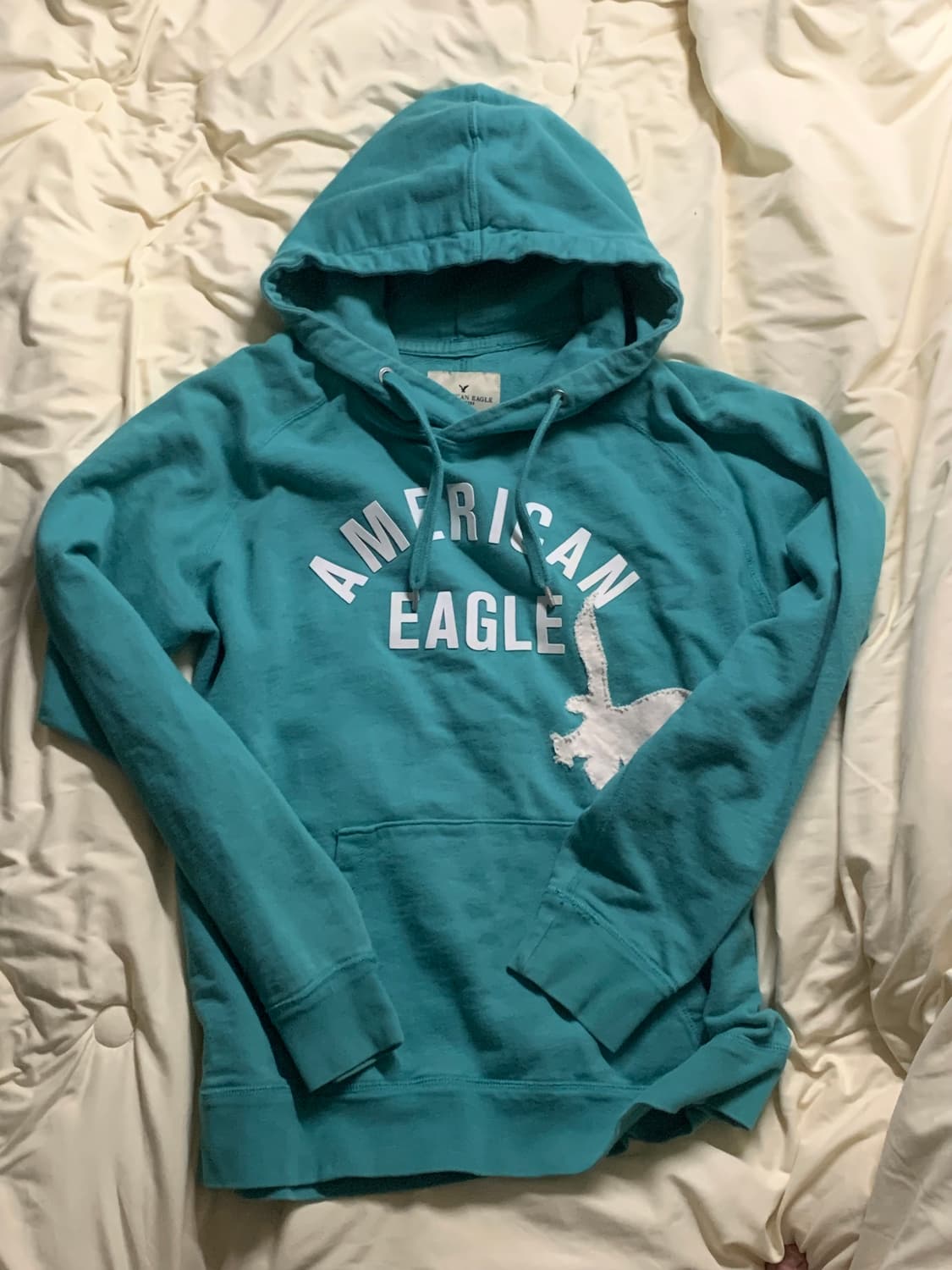 아메리칸 이글 민트 후드 상품이미지1