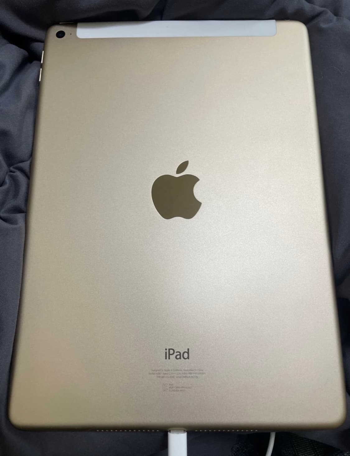 아이패드 에어2 64GB 골드 상품이미지2