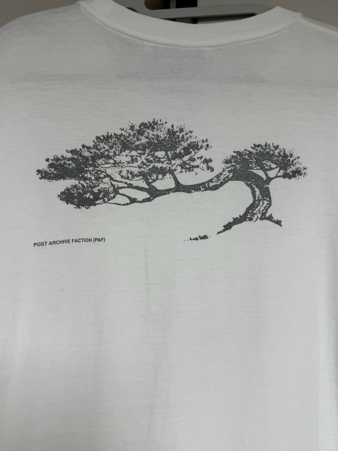 {M} 파프(paf) 수베니어 티 3 (소나무) 상품이미지3