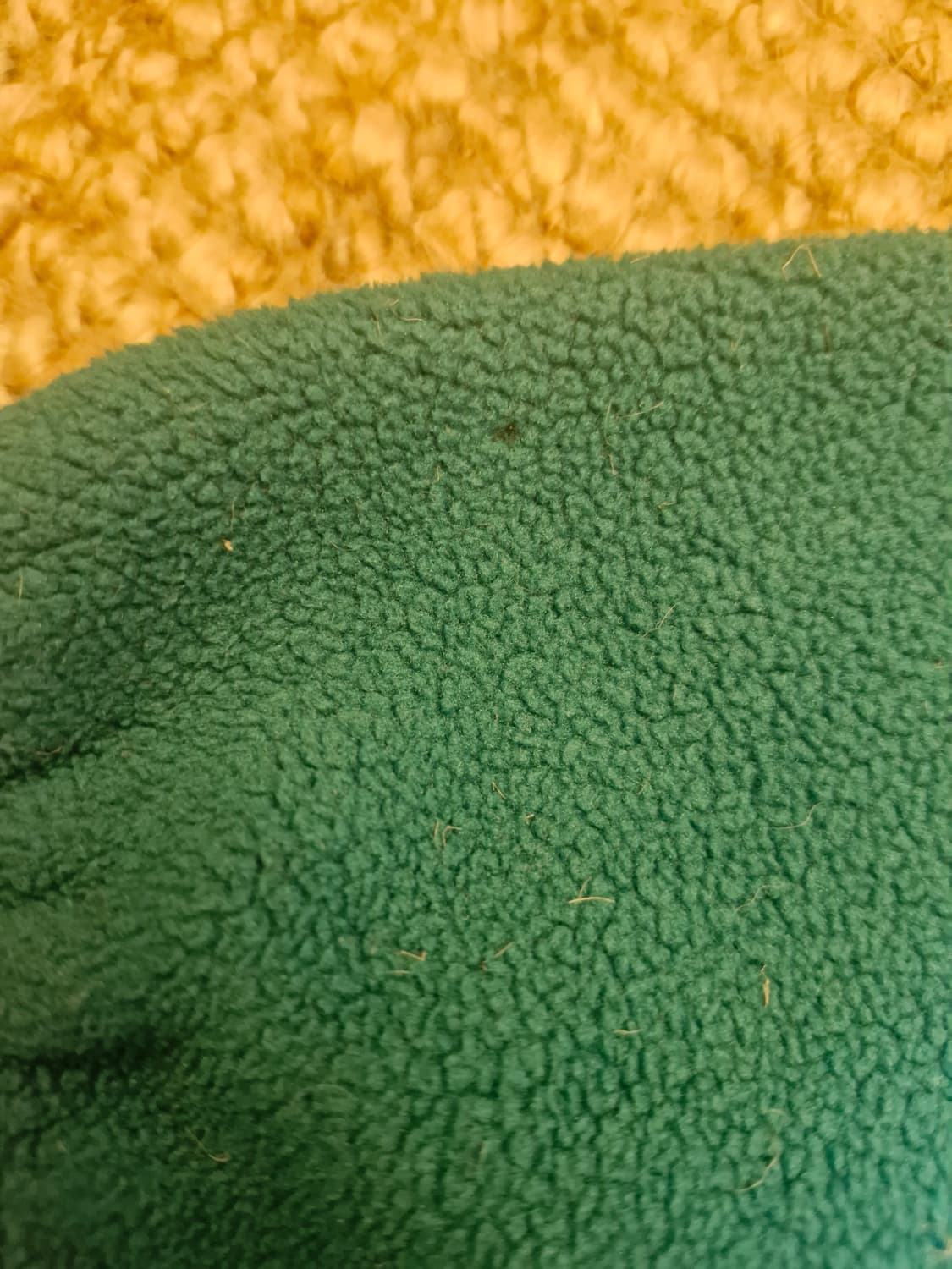 Z01 파타고니아 신칠라 상품이미지4