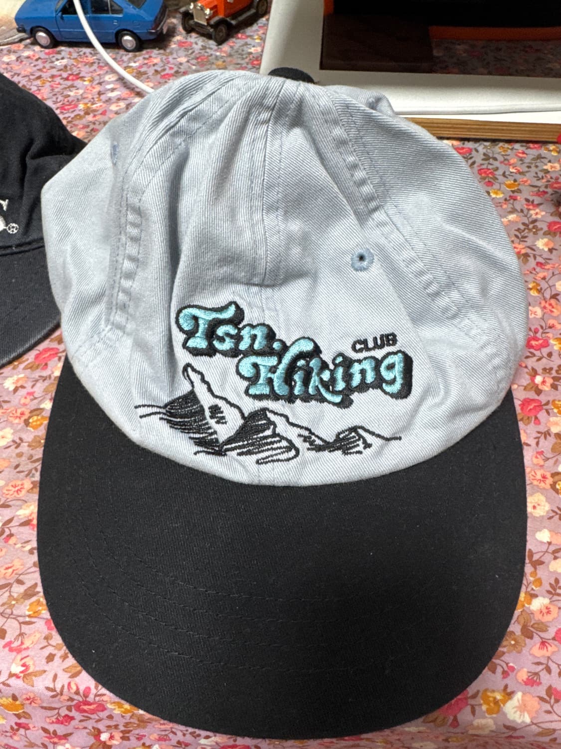 디스이즈네버뎃 캡 상품이미지1