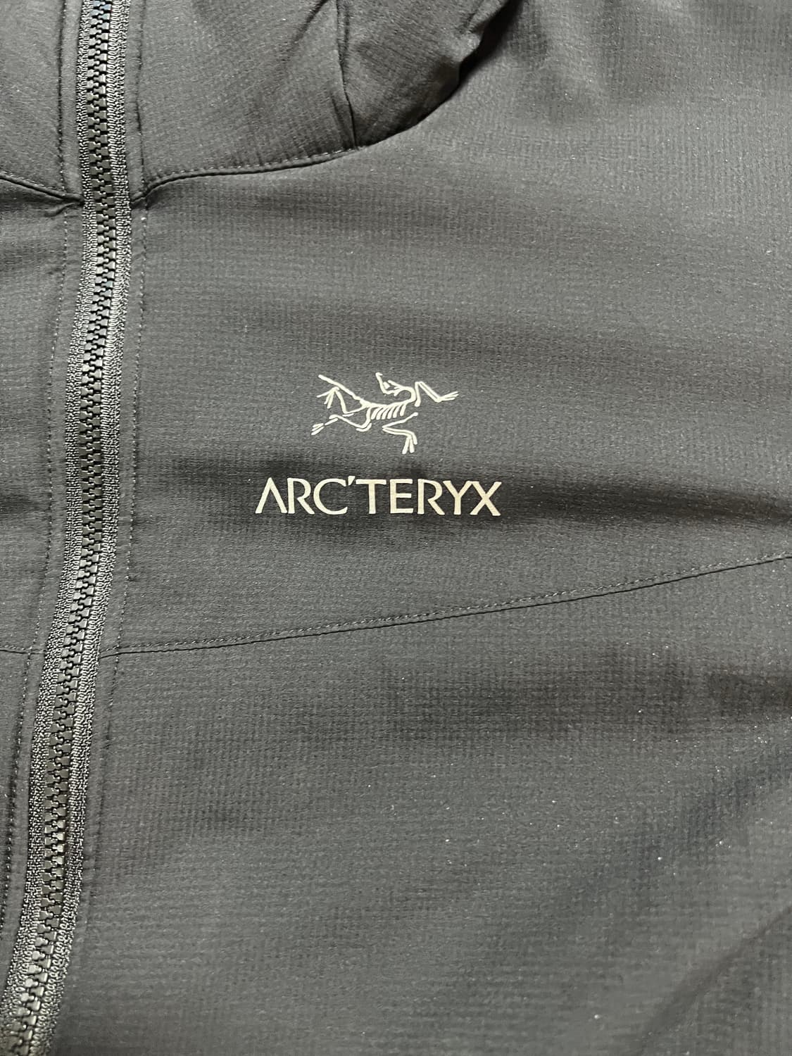 아크테릭스 후드 자켓 상품이미지2