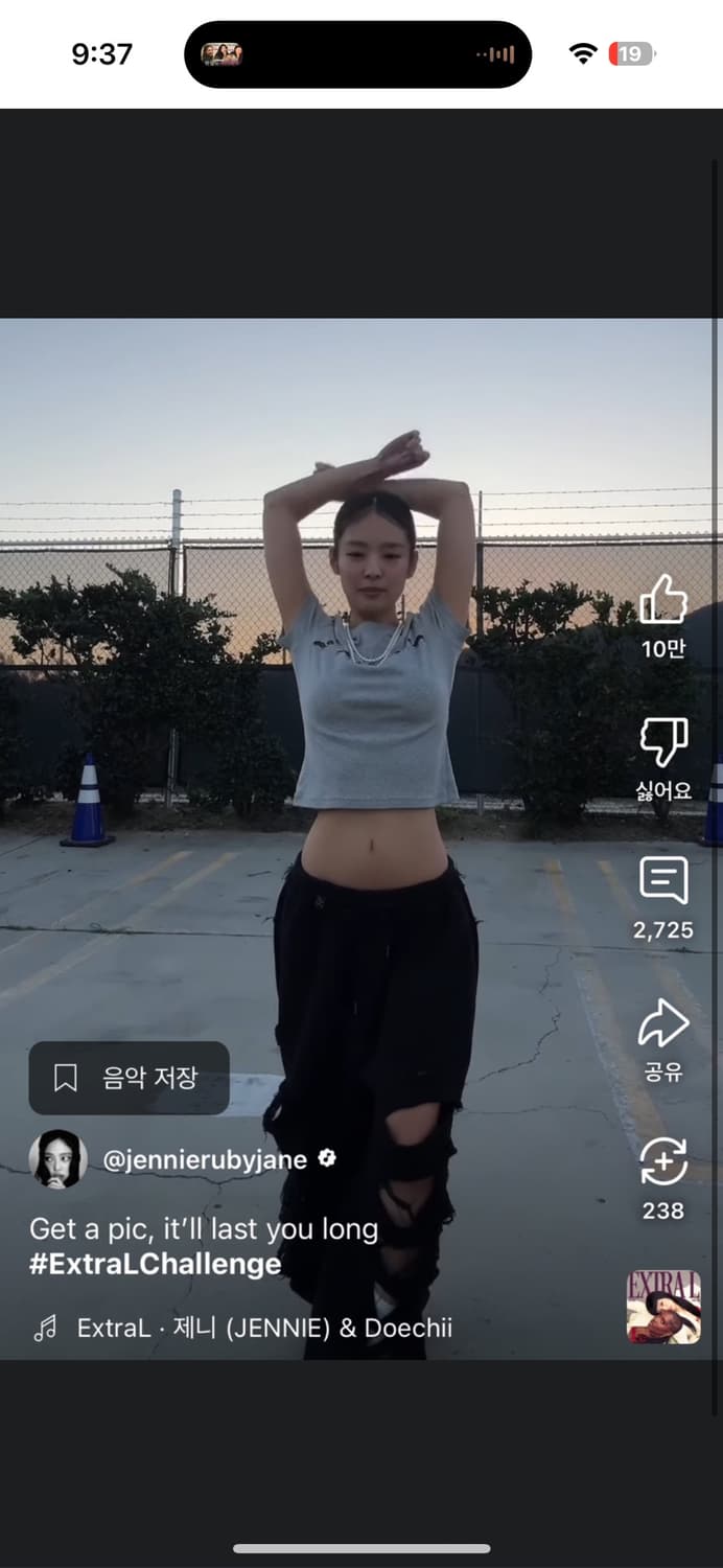 트리밍버드 Scratch Damage Wide Sweat Pants  상품이미지2