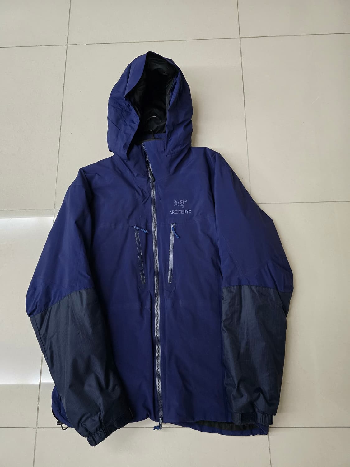 아크테릭스 피션 sv L 상품이미지1