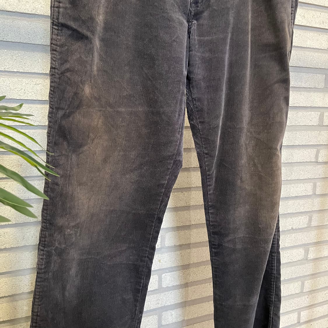 Wrangler 랭글러 코듀로이 팬츠 레귤러핏 백 로고 디테일 네이비 상품이미지6